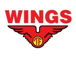 Wings Group