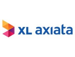 XL