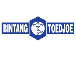 Bintang Toedjoe