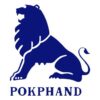 Logo PT Charoen Pokphand Indonesia Tbk