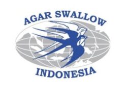 PT Agar Swallow