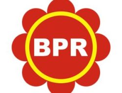 PT BPR Saudarakita