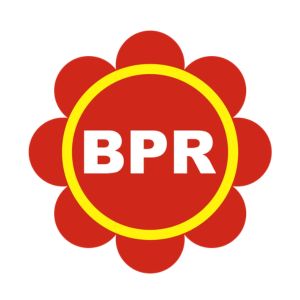 PT BPR Saudarakita